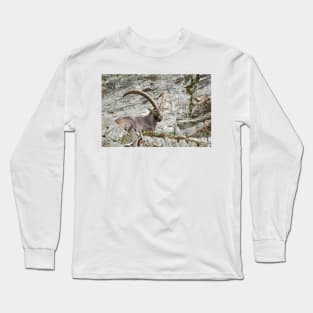 Large Male Ibex Long Sleeve T-Shirt